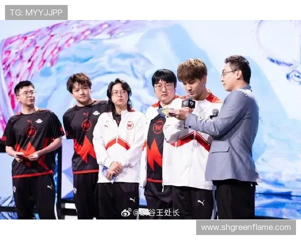 聚焦王者荣耀：WE战队近期状态分析与未来展望